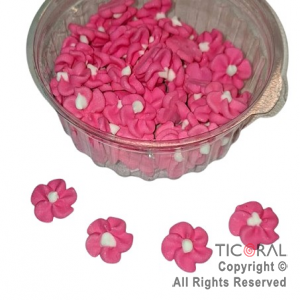 DURAZNO GRANDE FUCSIA x 60